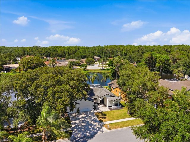 4149 RIDGEMOOR DRIVE N, Palm Harbor, FL 34685
