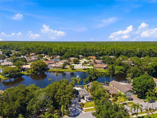 4149 RIDGEMOOR DRIVE N, Palm Harbor, FL 34685