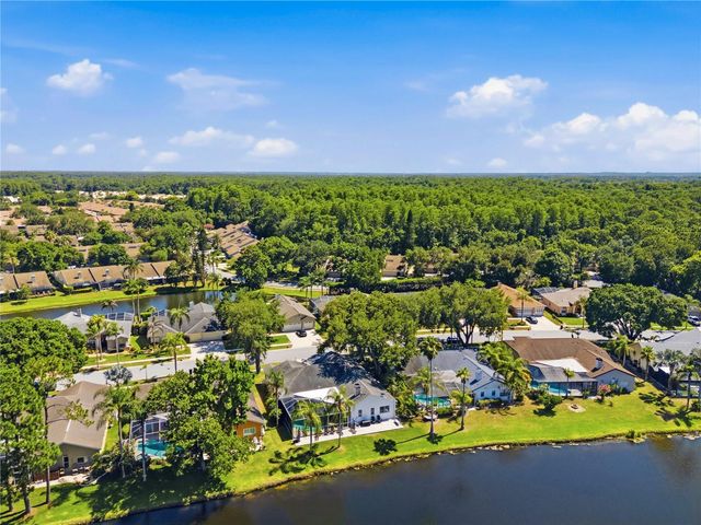 4149 RIDGEMOOR DRIVE N, Palm Harbor, FL 34685