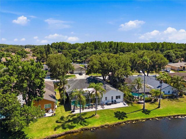 4149 RIDGEMOOR DRIVE N, Palm Harbor, FL 34685