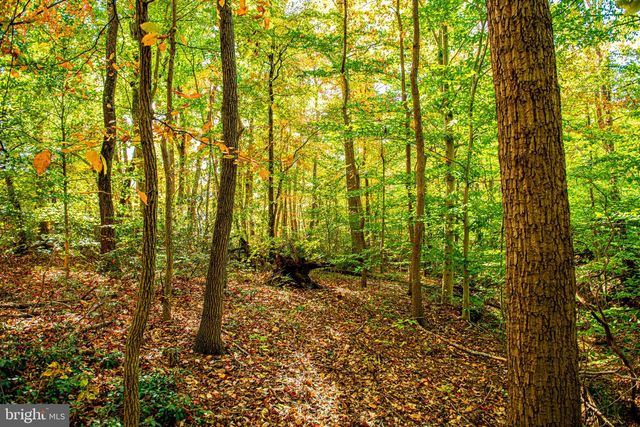 1207 ALDER SHOT CT, Abingdon, MD 21009