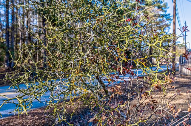 520 Lee Road 0237, Smiths Station, AL 36877