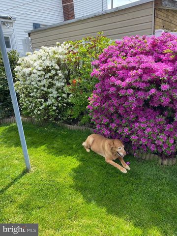 141 S NICHOLAS ST, Saint Clair, PA 17970