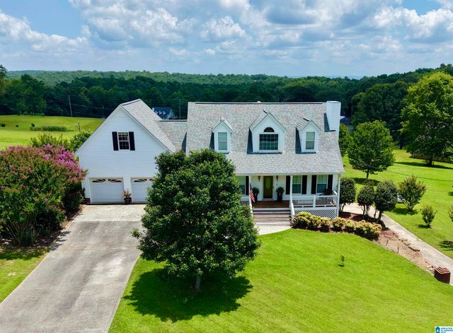 138 LELIA DRIVE, Warrior, AL 35180