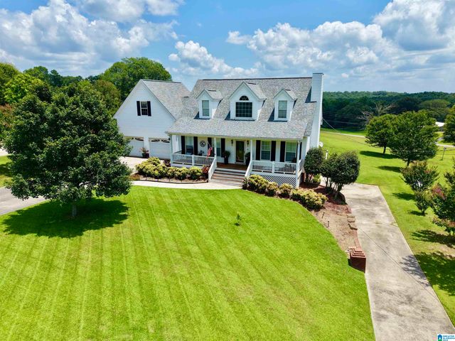 138 LELIA DRIVE, Warrior, AL 35180