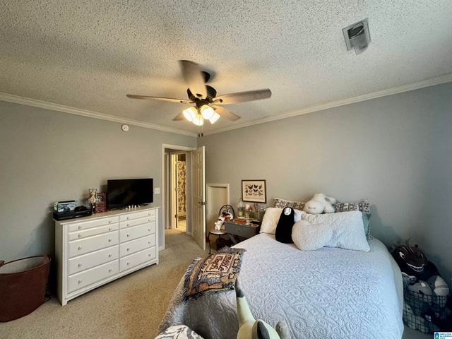 138 LELIA DRIVE, Warrior, AL 35180
