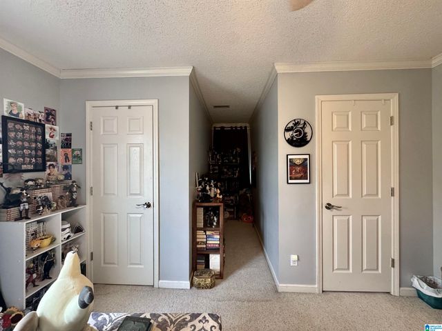 138 LELIA DRIVE, Warrior, AL 35180