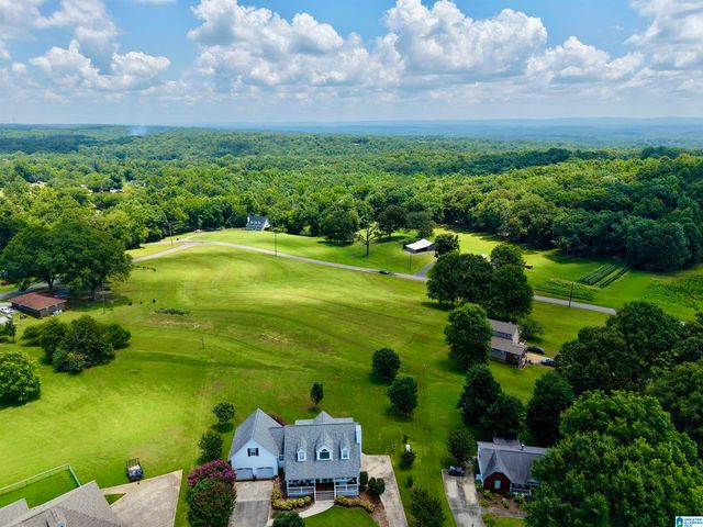 138 LELIA DRIVE, Warrior, AL 35180