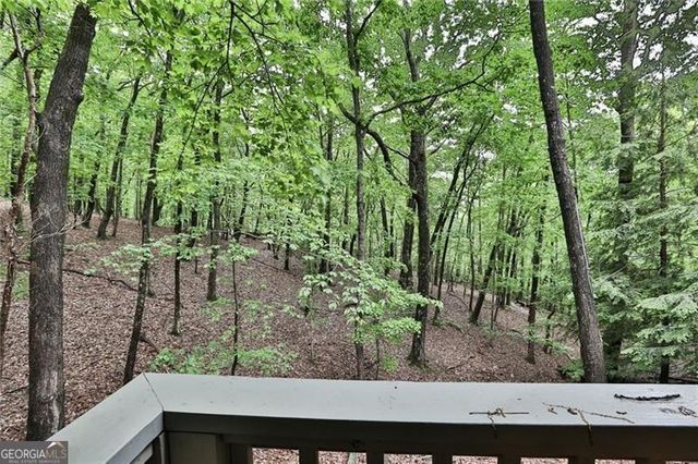 273 Indian Pipe Drive, Big Canoe, GA 30143