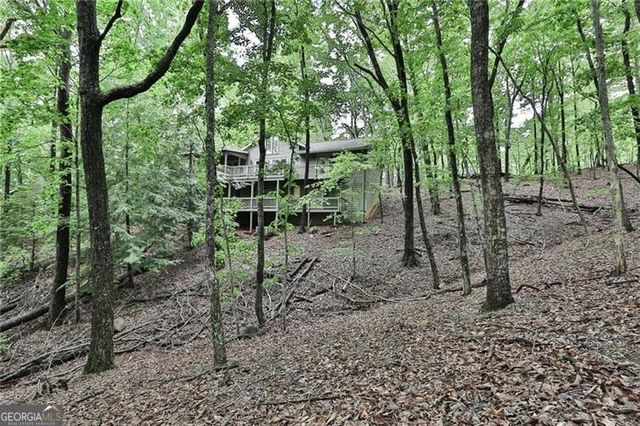 273 Indian Pipe Drive, Big Canoe, GA 30143