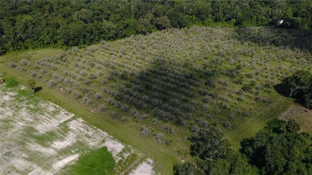 HOLLY HAMMOCK ROAD, De Leon Springs, FL 32130
