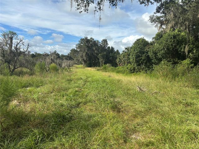 HOLLY HAMMOCK ROAD, De Leon Springs, FL 32130