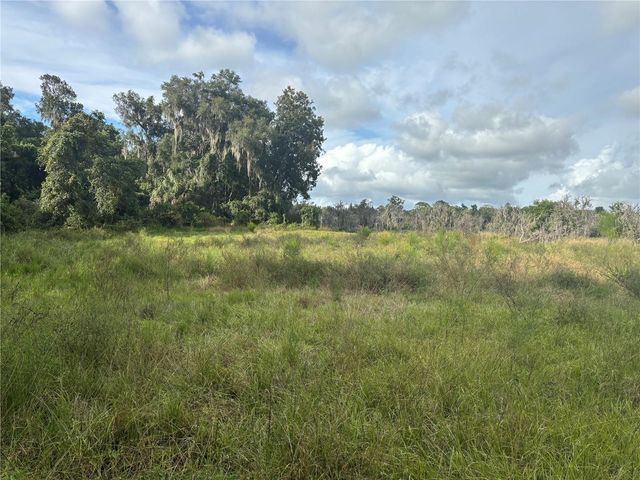 HOLLY HAMMOCK ROAD, De Leon Springs, FL 32130