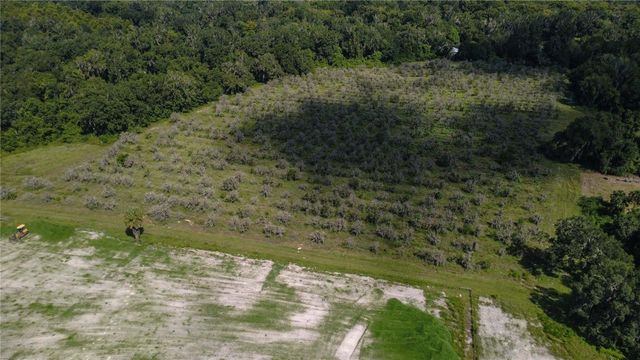 HOLLY HAMMOCK ROAD, De Leon Springs, FL 32130