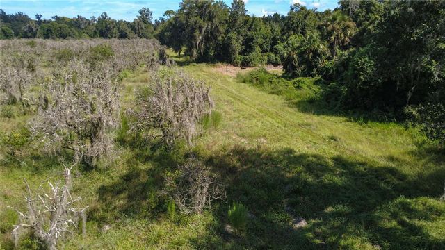HOLLY HAMMOCK ROAD, De Leon Springs, FL 32130