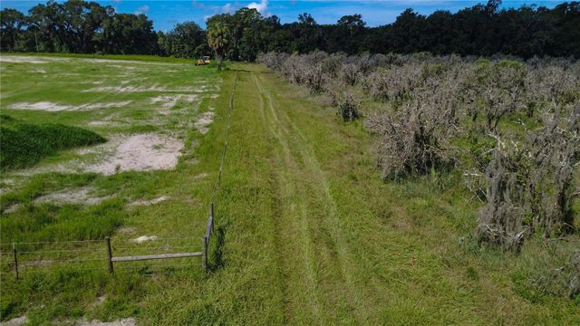 HOLLY HAMMOCK ROAD, De Leon Springs, FL 32130