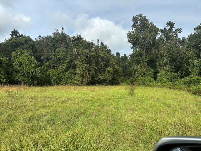 HOLLY HAMMOCK ROAD, De Leon Springs, FL 32130