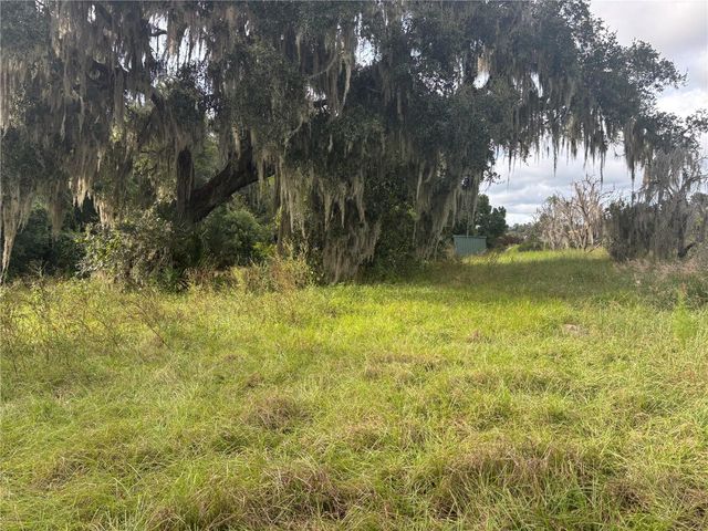 HOLLY HAMMOCK ROAD, De Leon Springs, FL 32130