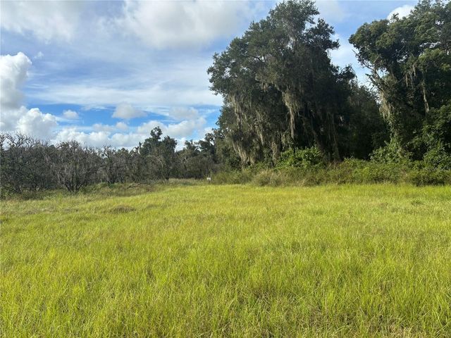HOLLY HAMMOCK ROAD, De Leon Springs, FL 32130