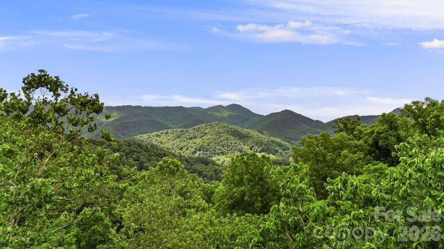 158 Sugar Cove Road, Weaverville, NC 28787