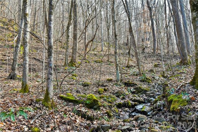 158 Sugar Cove Road, Weaverville, NC 28787