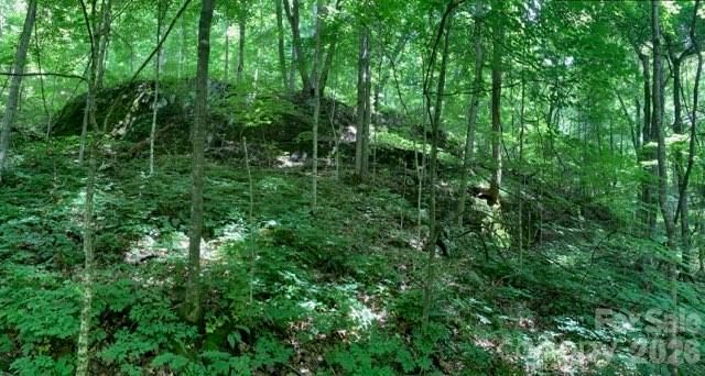 158 Sugar Cove Road, Weaverville, NC 28787