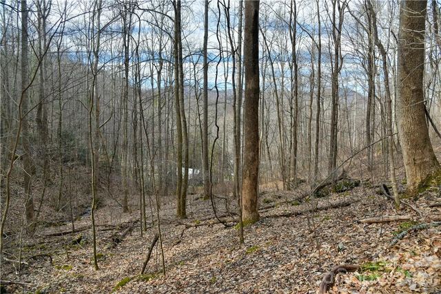 158 Sugar Cove Road, Weaverville, NC 28787