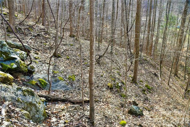 158 Sugar Cove Road, Weaverville, NC 28787