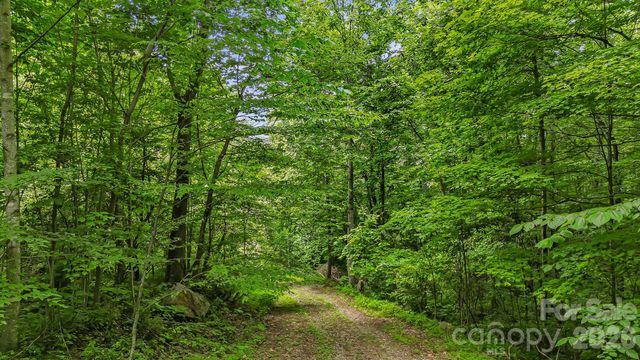 158 Sugar Cove Road, Weaverville, NC 28787