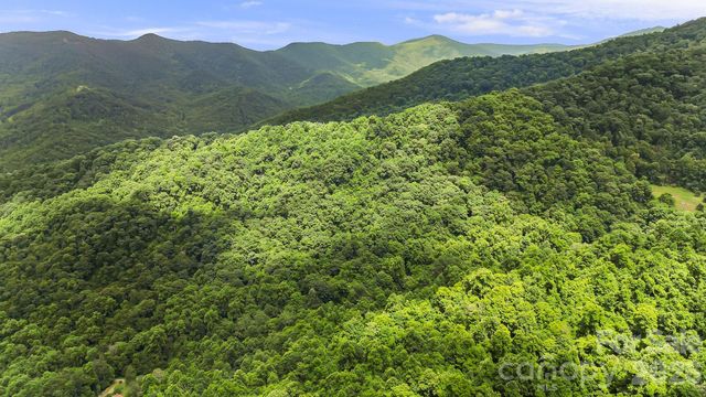 158 Sugar Cove Road, Weaverville, NC 28787