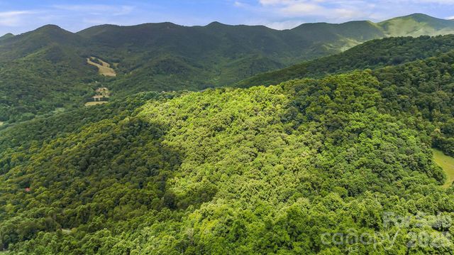 158 Sugar Cove Road, Weaverville, NC 28787