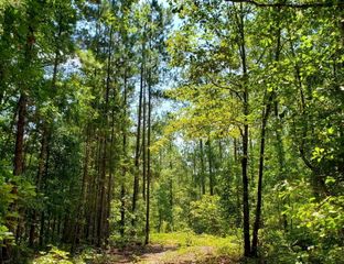 1027 Grindstone Creek Road, Hephzibah, GA 30815