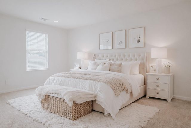 22166 Birchfield Grove Lane, New Caney, TX 77357