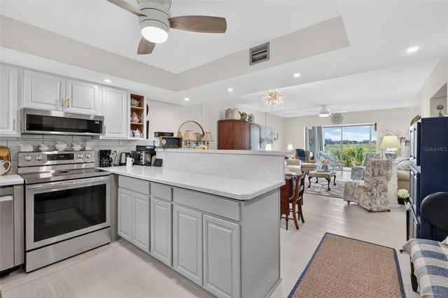 4300 BAYWOOD BOULEVARD A103, Mount Dora, FL 32757