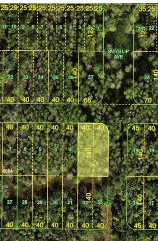 BERMONT RD & 31, Punta Gorda, FL 33982