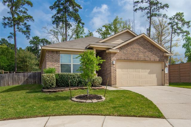 11502 Castle Nugent Court, Conroe, TX 77304