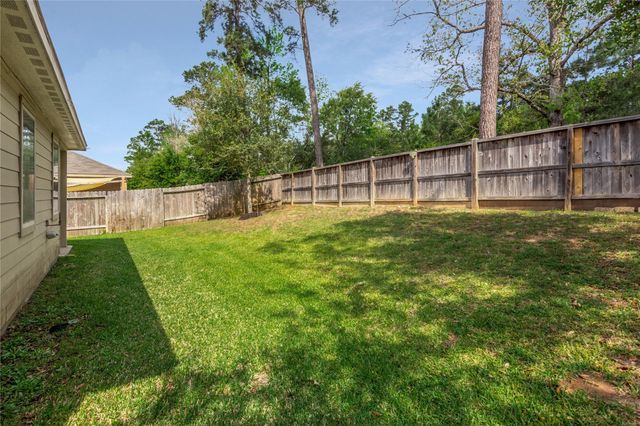 11502 Castle Nugent Court, Conroe, TX 77304