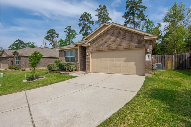 11502 Castle Nugent Court, Conroe, TX 77304