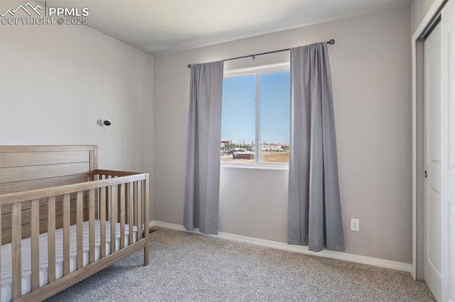 11751 Sedge Court, Peyton, CO 80831