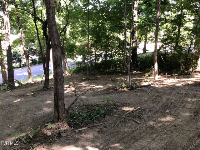 L23r Maple Crest, Greeneville, TN 37743