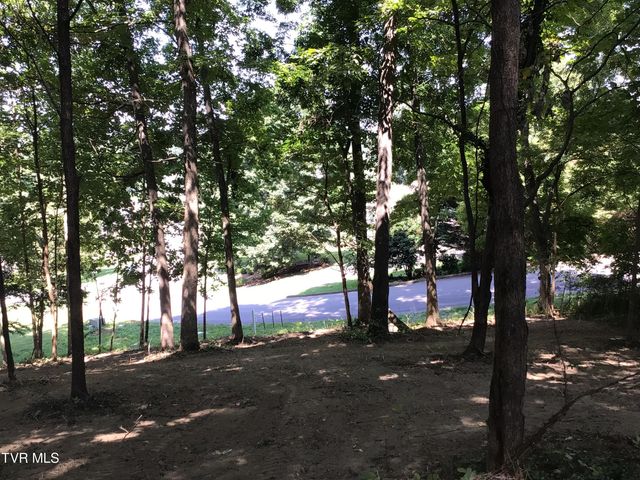 L23r Maple Crest, Greeneville, TN 37743