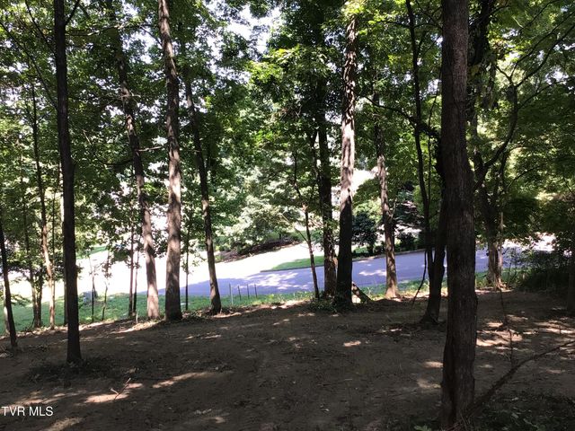 L23r Maple Crest, Greeneville, TN 37743