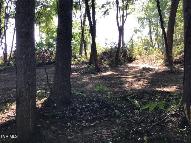 L23r Maple Crest, Greeneville, TN 37743