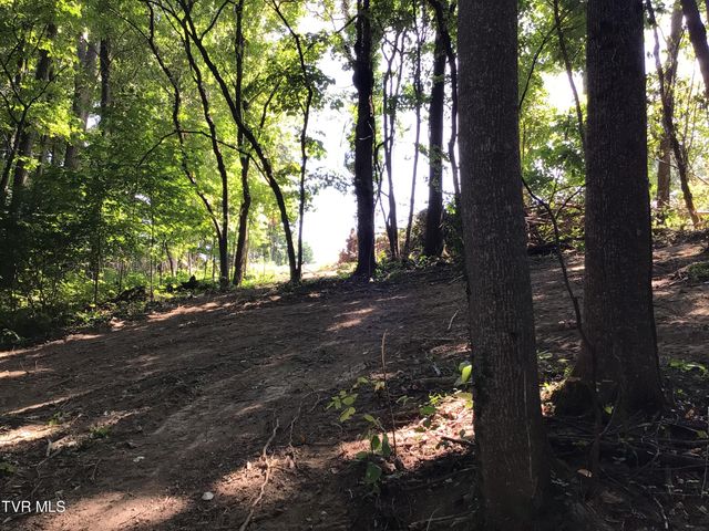 L23r Maple Crest, Greeneville, TN 37743