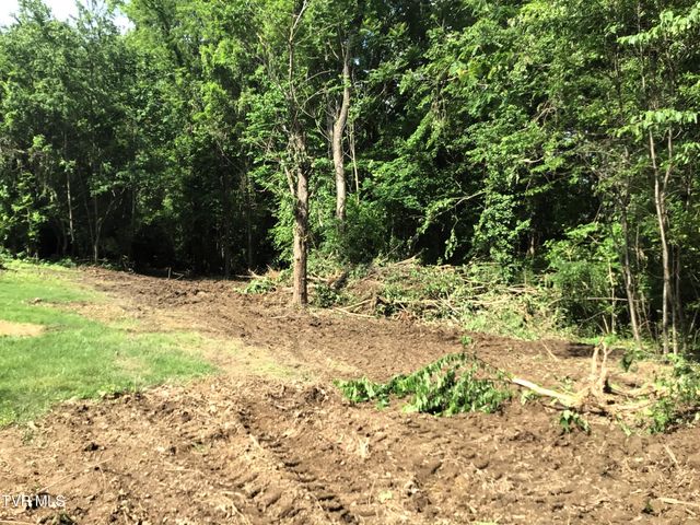 L23r Maple Crest, Greeneville, TN 37743