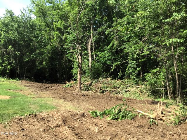 L23r Maple Crest, Greeneville, TN 37743