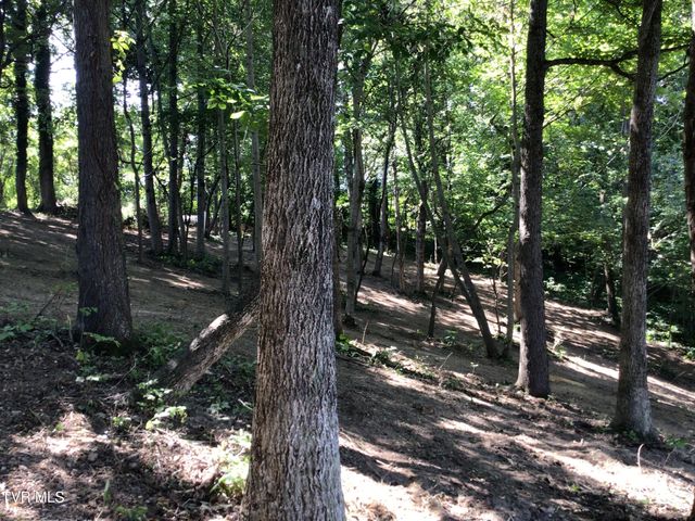 L23r Maple Crest, Greeneville, TN 37743