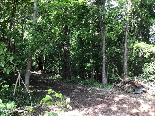 L23r Maple Crest, Greeneville, TN 37743