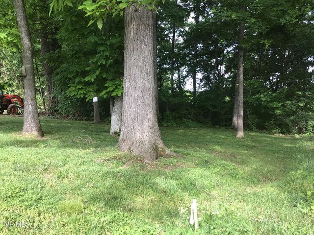 L23r Maple Crest, Greeneville, TN 37743