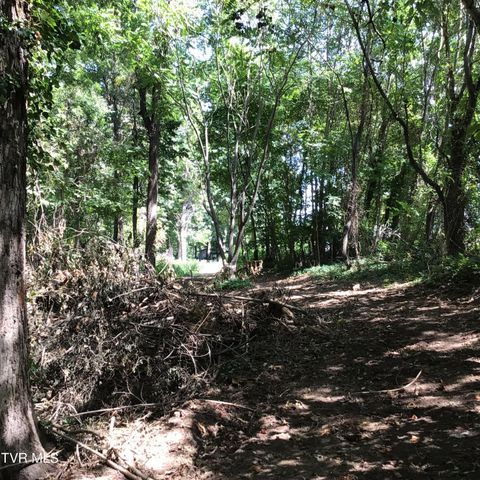 L23r Maple Crest, Greeneville, TN 37743